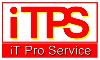 iT Pro Service - 